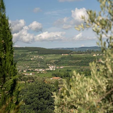 Monolocale Moderno Valpolicella Verona - Vayu Сан-Пьетро-ин-Карьяно Экстерьер фото